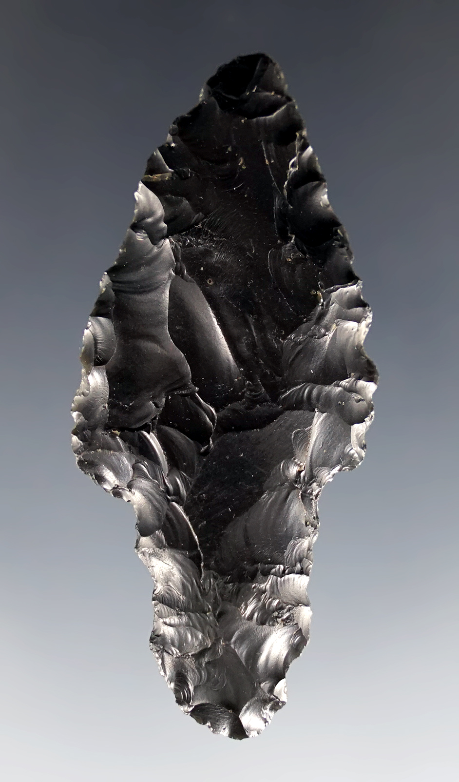 2 1/2" Obsidian Parman in excellent condition. Found in Lake Co., Oregon.