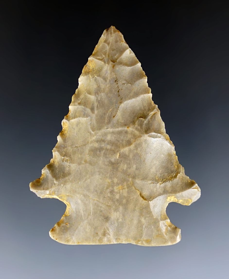 2" Kentucky Pine Tree with heavy basal grinding. Slightly beveled and well made.