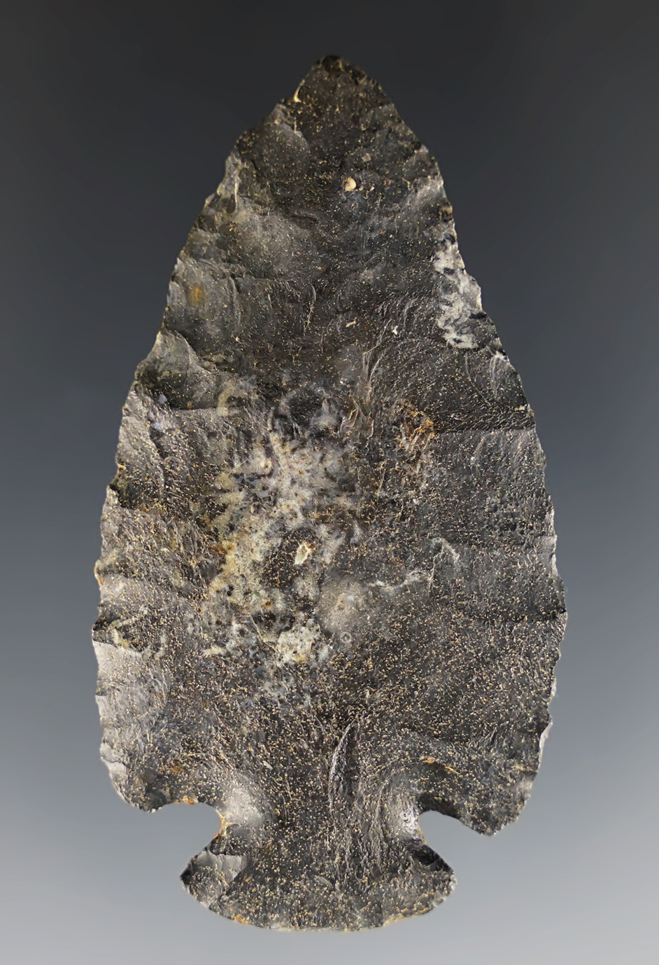 2 3/8" Coshocton Flint Dovetail with nice basal grinding. Found in Union Co., Ohio.