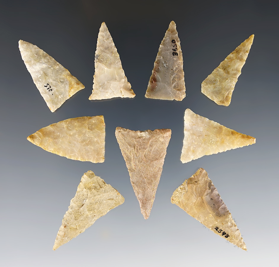 Set of 9 nice Triangle points found in Clark Co., Kentucky. The largest is 1 1/2".