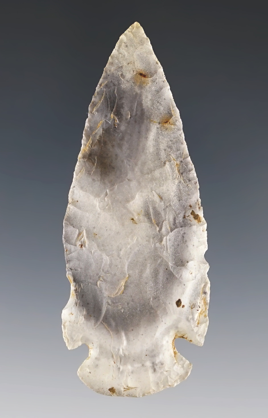 2 9/16" Ocala made from Jefferson City Chert. Found in Missouri. Comes with a  COA.