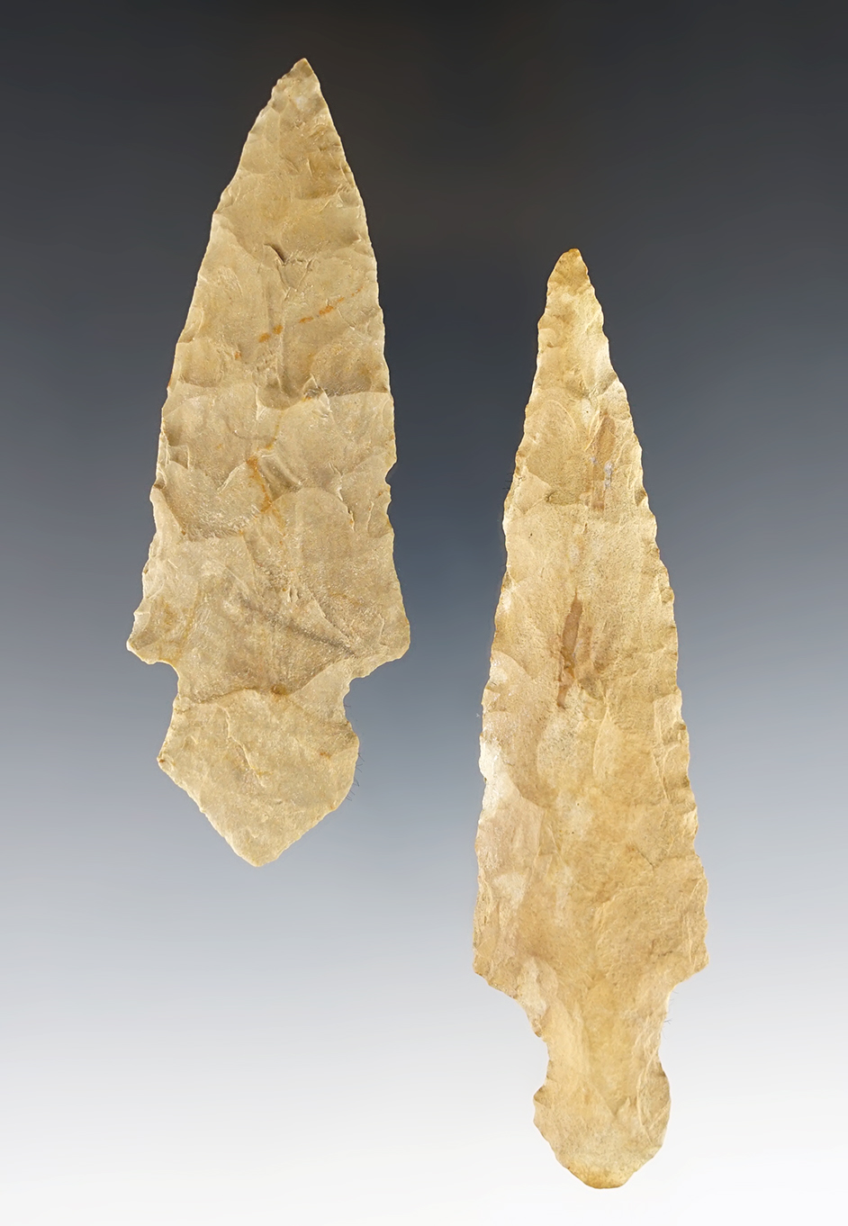Pair of Turkeytail points found in Tennessee and Kentucky. The larger is 4 3/8". COA's.