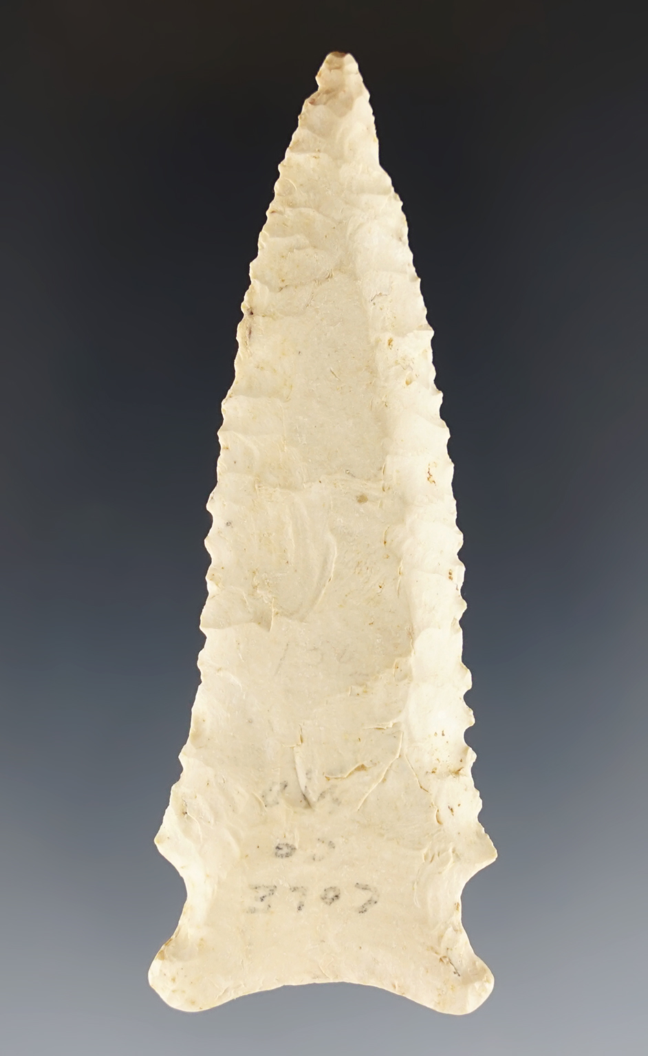 3" beveled Dalton point. Found in Cole Co., Missouri.
