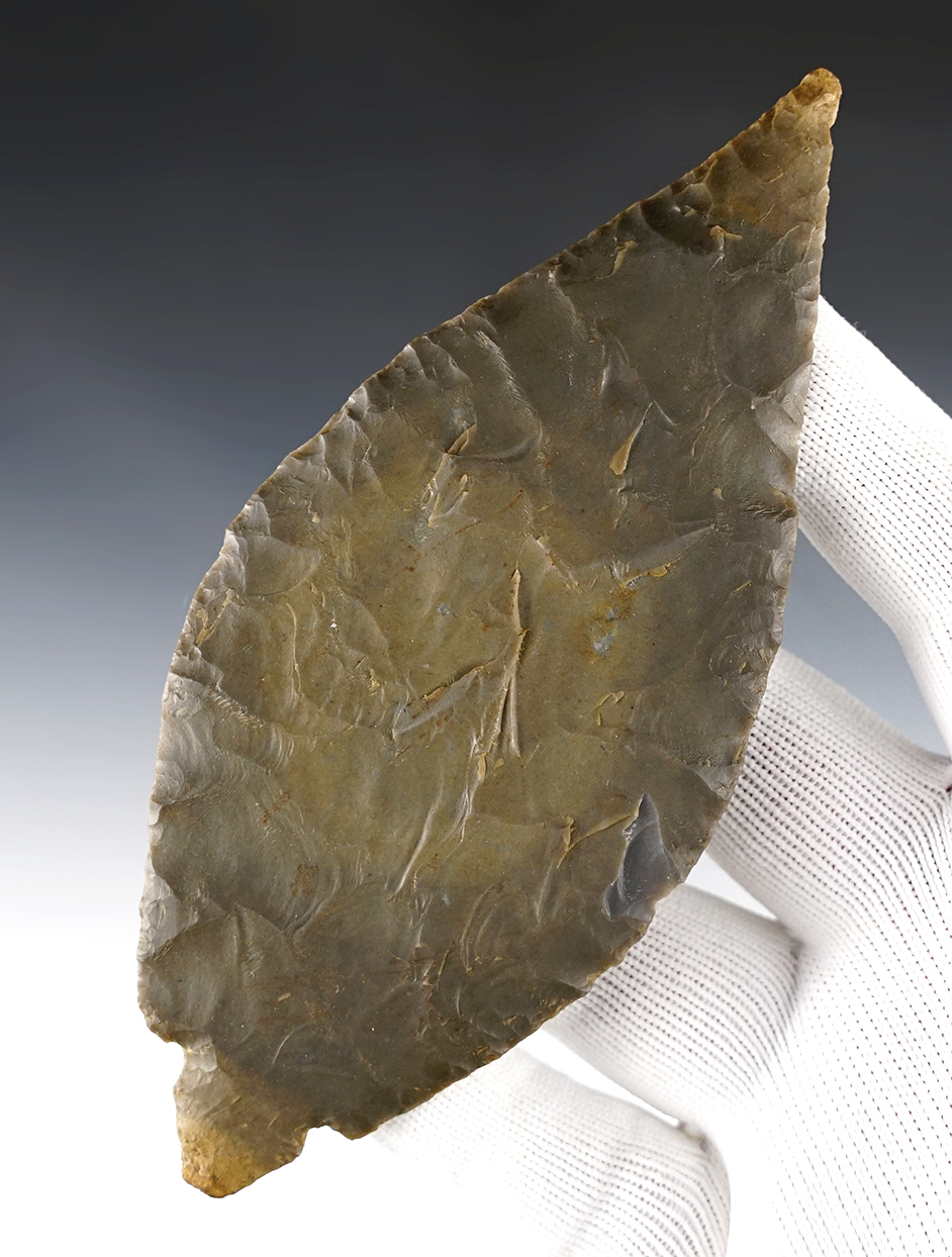 5 3/4" Turkeytail - patinated Hornstone. Found in Trigg Co., Kentucky. Partain COA.