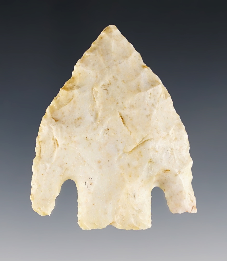 Rare unbroken 2 3/16" Calf Creek. Found in Searcy Co., Arkansas. Comes with a COA.