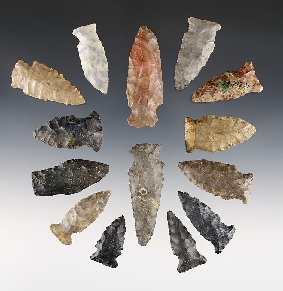 Set of 14 classic Ohio Fishspear points. The largest is 2 1/4".