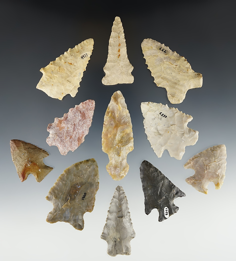 Set of 11 assorted points, most are from the Kentucky area.
