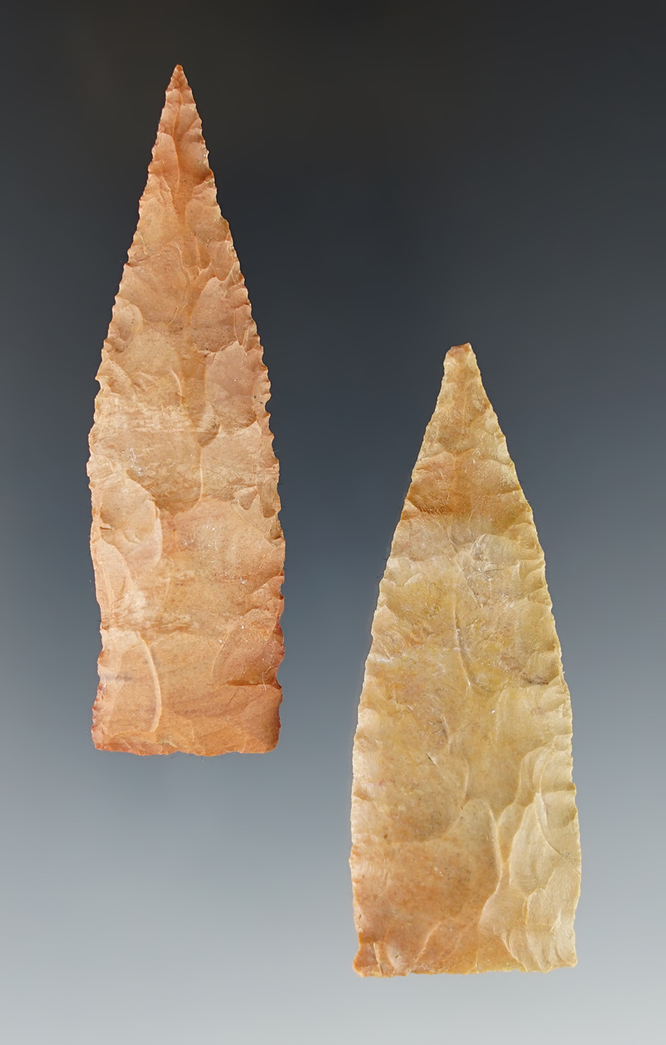 Pair of nice Tennessee points including a Jeff and a Nolichucky.
