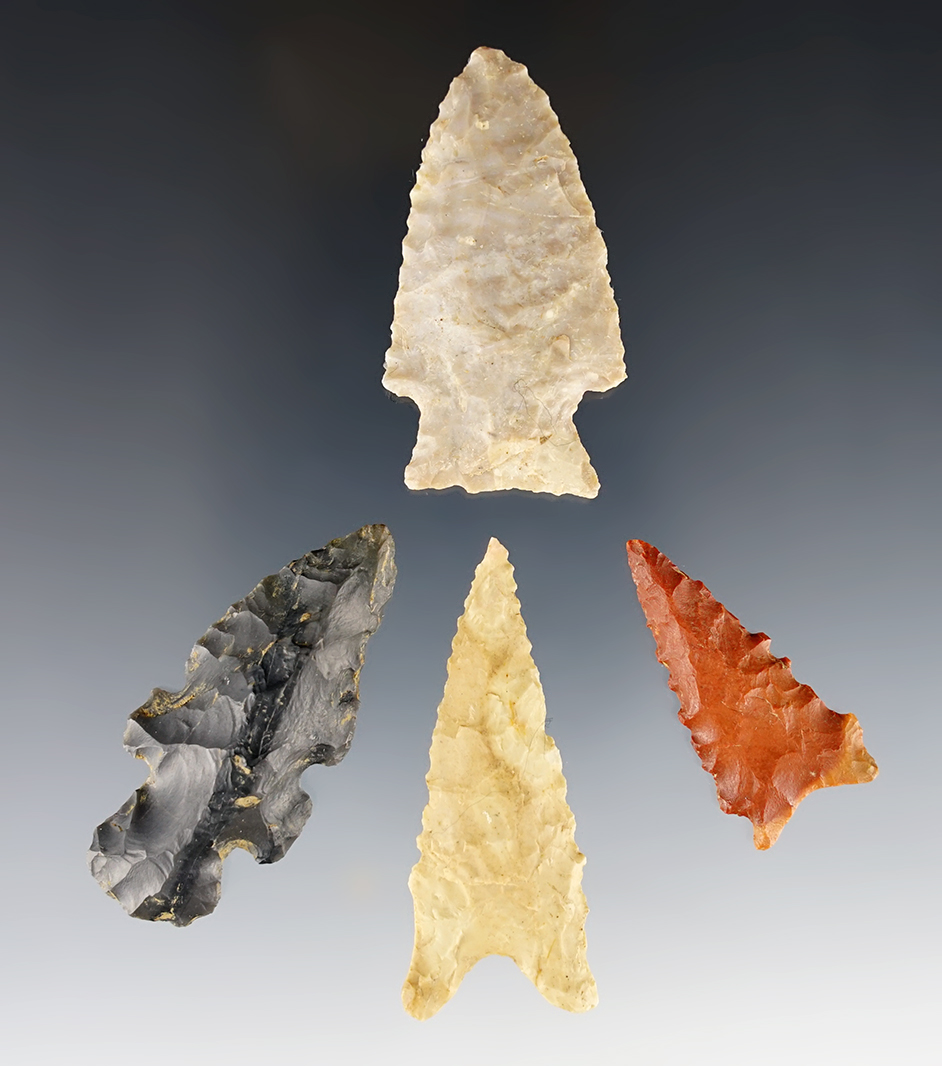 Set of four Arkansas Evans, Dalton, and San Patrice points in excellent condition.