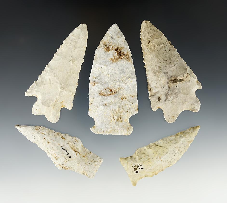 Set of 5 well made Arkansas/Missouri area points. One is Ex. Greg Perino (P-1/383).