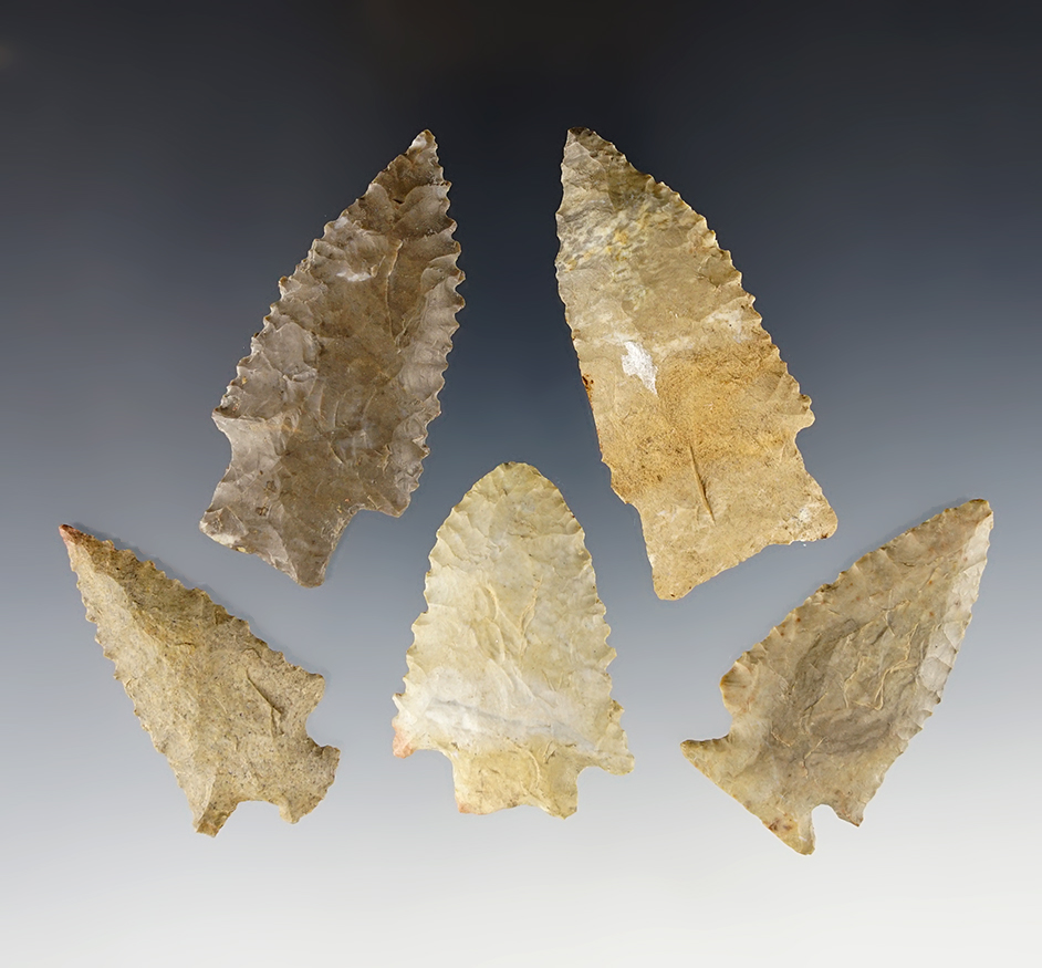 Set of 5 well made serrated points found in Tennessee. The largest is 2 7/16".