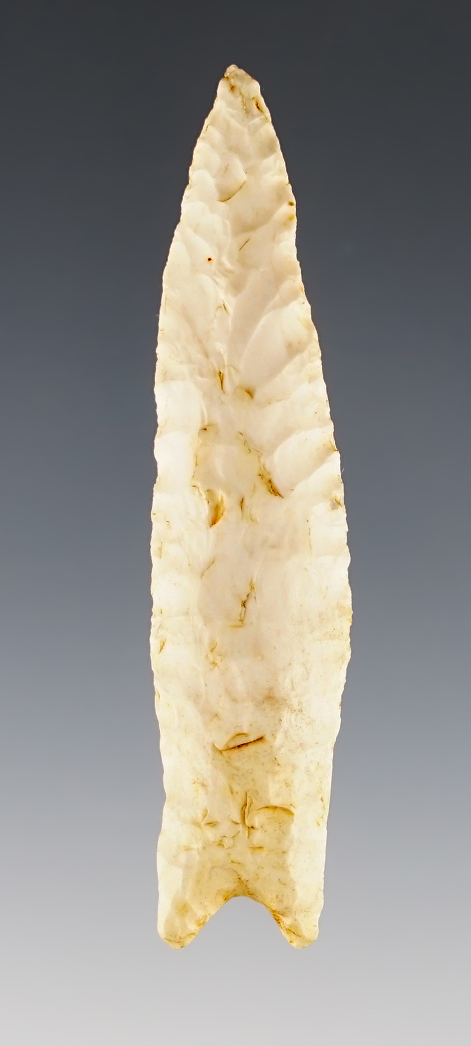 Outstanding 2 3/4" Paleo Wheeler found in Lamar Co., Alabama. Comes with a COA.