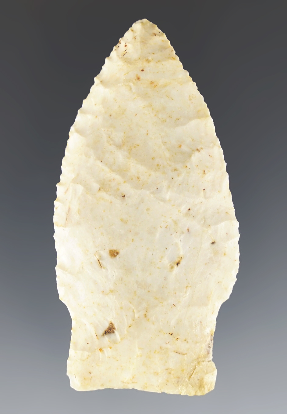 2 13/16" Scottsbluff found in the Missouri/Illinois area. One basal corner is restored.