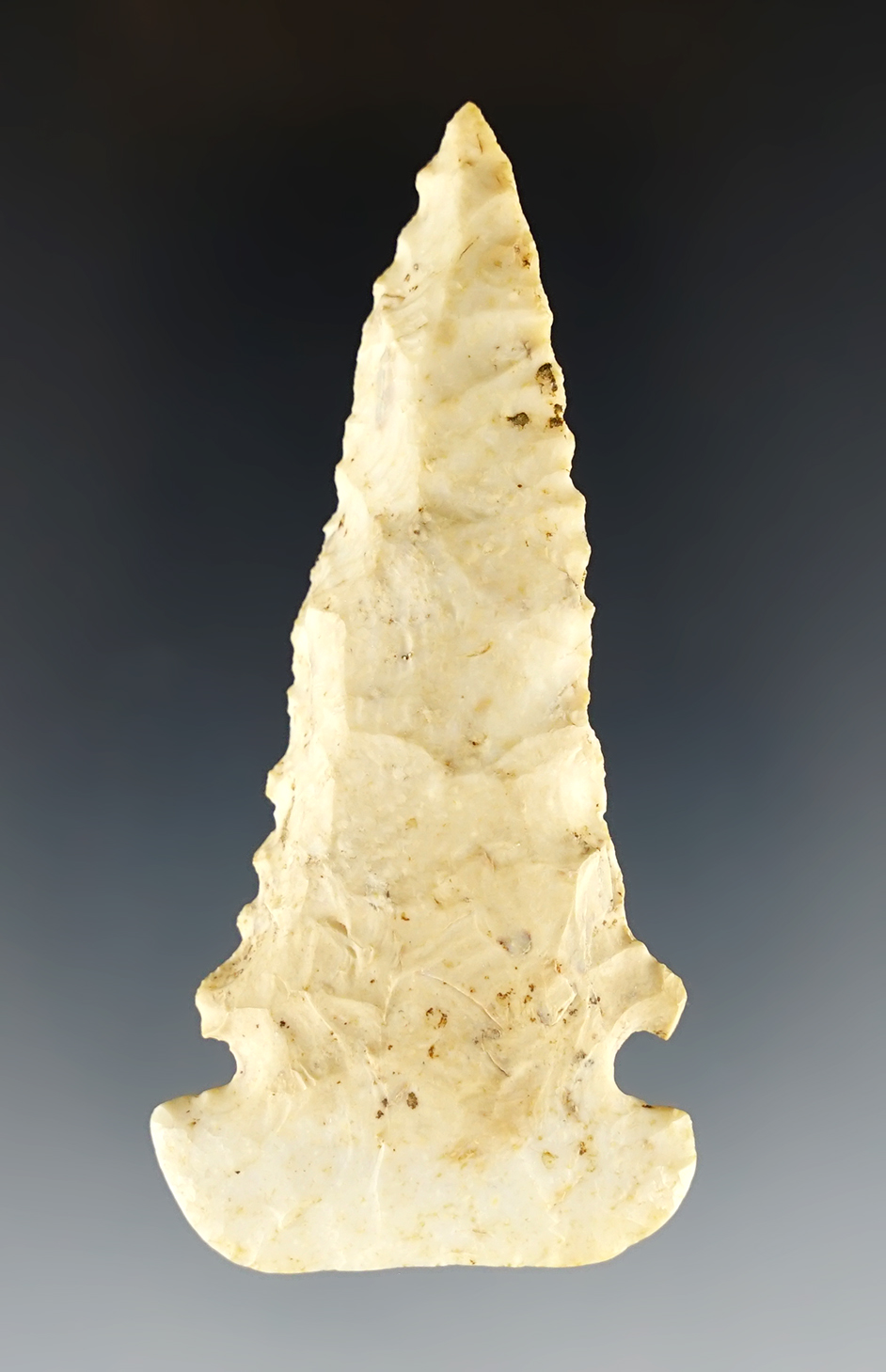 Steeply beveled 2 13/16" Dovetail with heavy basal grinding. Found in Fulton Co., Illinois.
