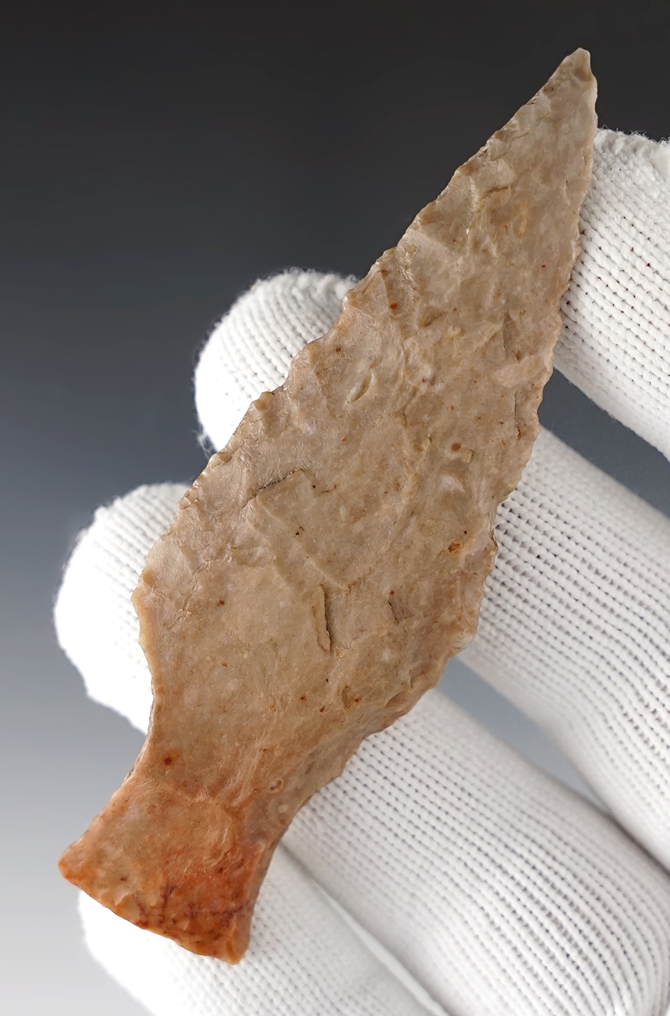 Classic 3 9/16" Nolan found in Williamson Co., Texas. Made from Chert.  COA.