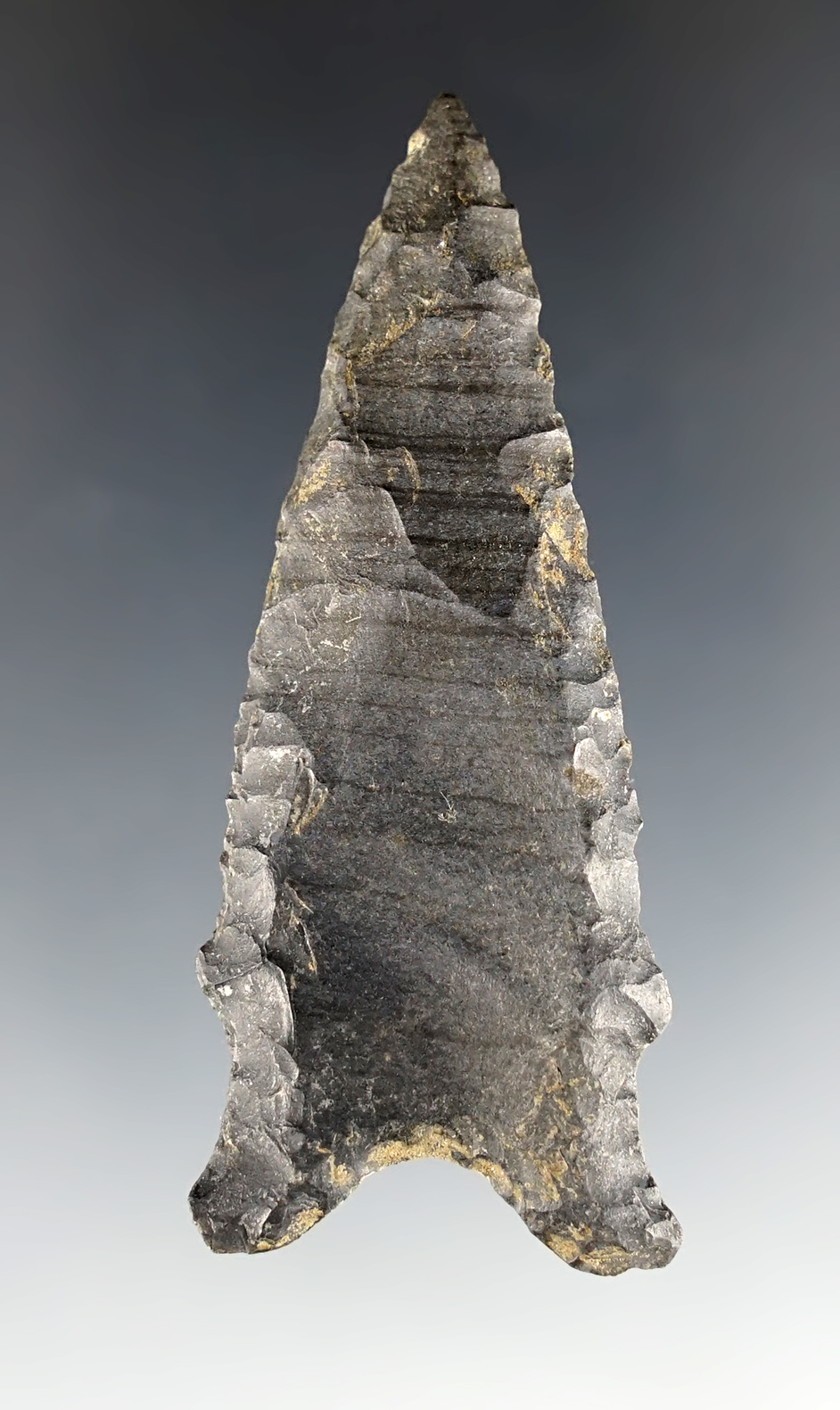 2 5/8" Dalton made from nicely banded Winterset Chert. Found in Scott Co., Iowa. COA.