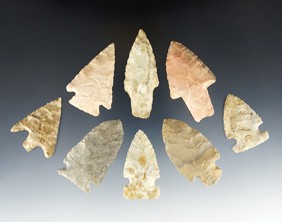 Set of 8 Illinois area points in good condition. The largest is a 2 3/8" Dickson. 8 COA's.