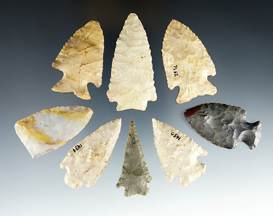 Set of 8 nice points found by Charlie Long in Clark Co., Kentucky. Largest is 2 1/4".