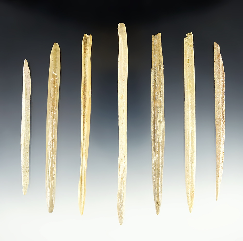 Set of 7 Bone Awls found in Florida. The largest is 6 5/16". Includes a Davis COA, G-8.