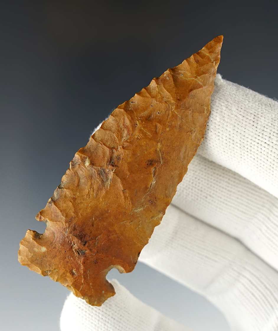 Superb! 3" Knight Island found in Decatur Co., Tennessee by James Boatwright. COA's.