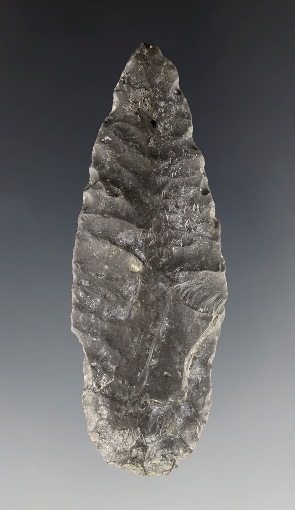 2 1/2" Obsidian Parman with use-wear to the tip. Found in Lake Co., Oregon.