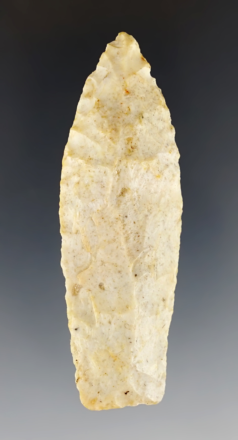 3" Sedalia with grinding to the lower blade edges. Found in the Missouri/Illinois area.