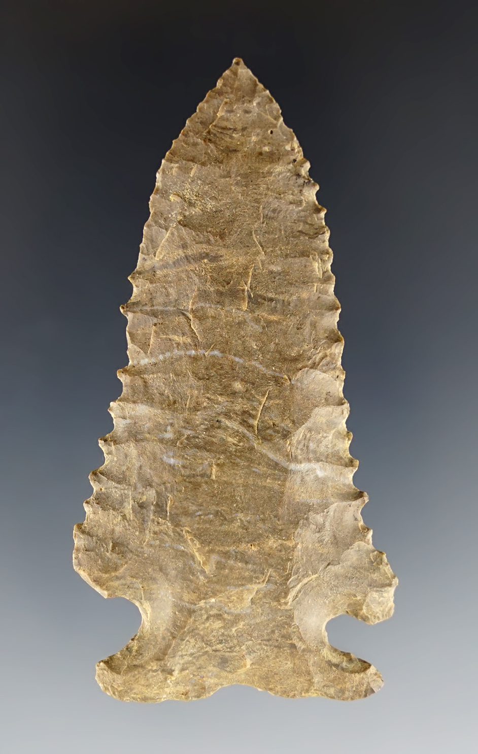 2 13/16" Pinetree made from Dover Chert. Found in Stewart Co., Tennessee. COA.