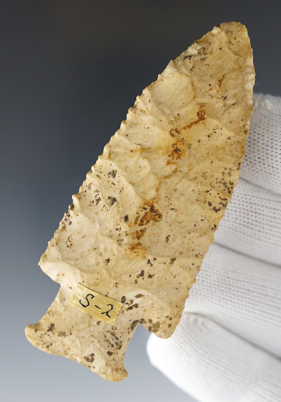 3 3/16" Barbed Hardin that shows heavy minerals on the surface, Warren Co., Missouri.