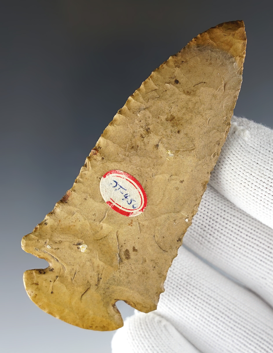 Classic 3 5/16" Tennessee Archaic Dovetail with heavy basal grinding and slight beveling.