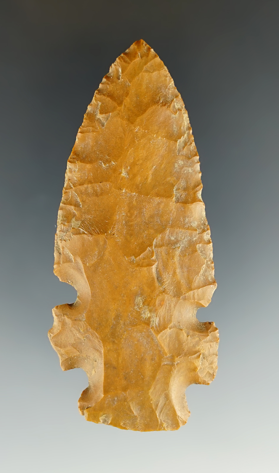 Well made 3 3/16" Evans found in Jefferson Co., Mississippi. Partain COA.