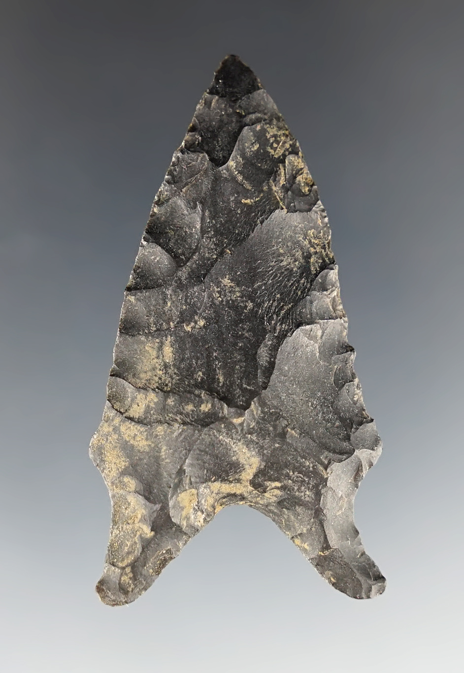 2 3/16" Dalton made from Pitkin Chert. Found in southeastern Missouri. COA.