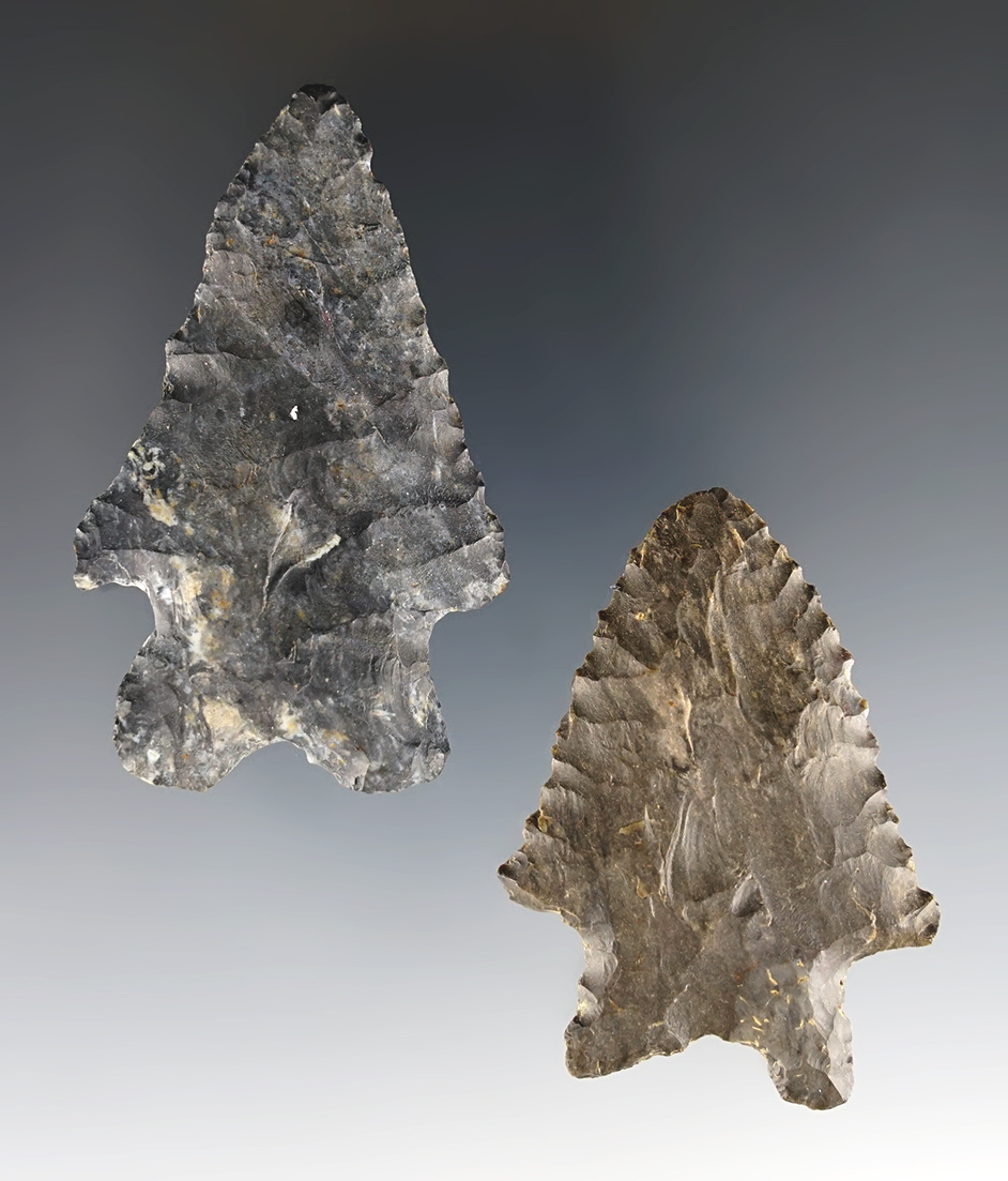 Pair of classic MacCorkle Bifurcated points. The largest is 2 7/16". Each includes COA's.
