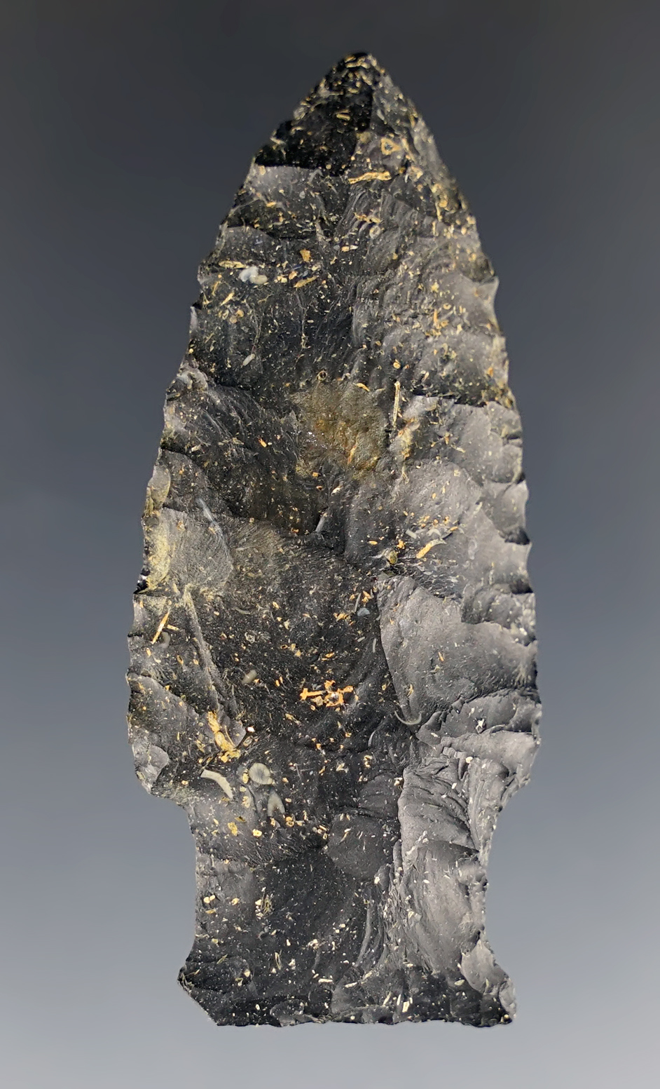 2 7/16" Coshocton Flint Paleo Stringtown Lance. Found in Portage Co., Ohio. COA.