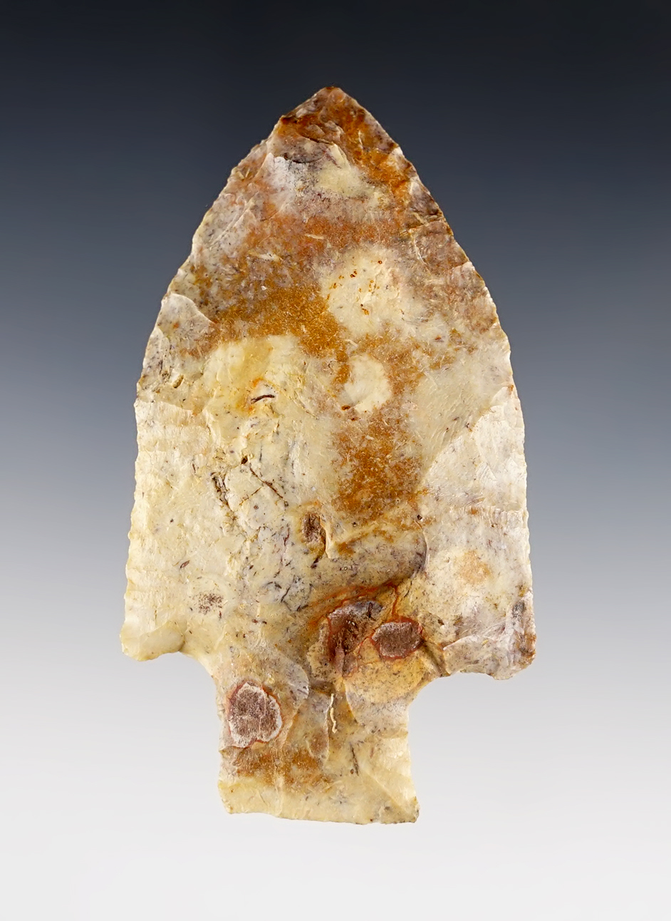 3 1/4" Pickwick made from colorful Chert. Found in Gadsden Co., Florida. Dickey COA.