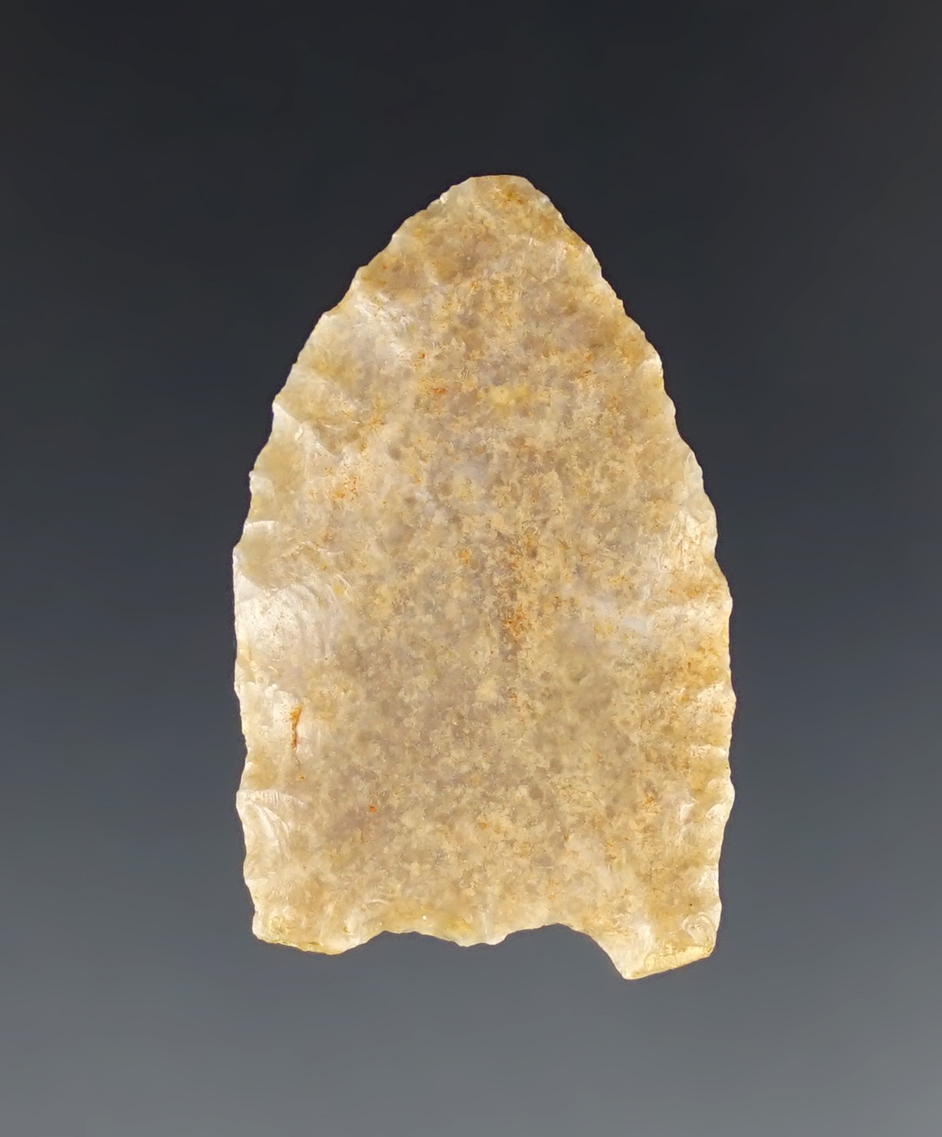 1 1/8" Fluted Paleo Folsom with nice grinding to the lower blade edges, New Mexico.
