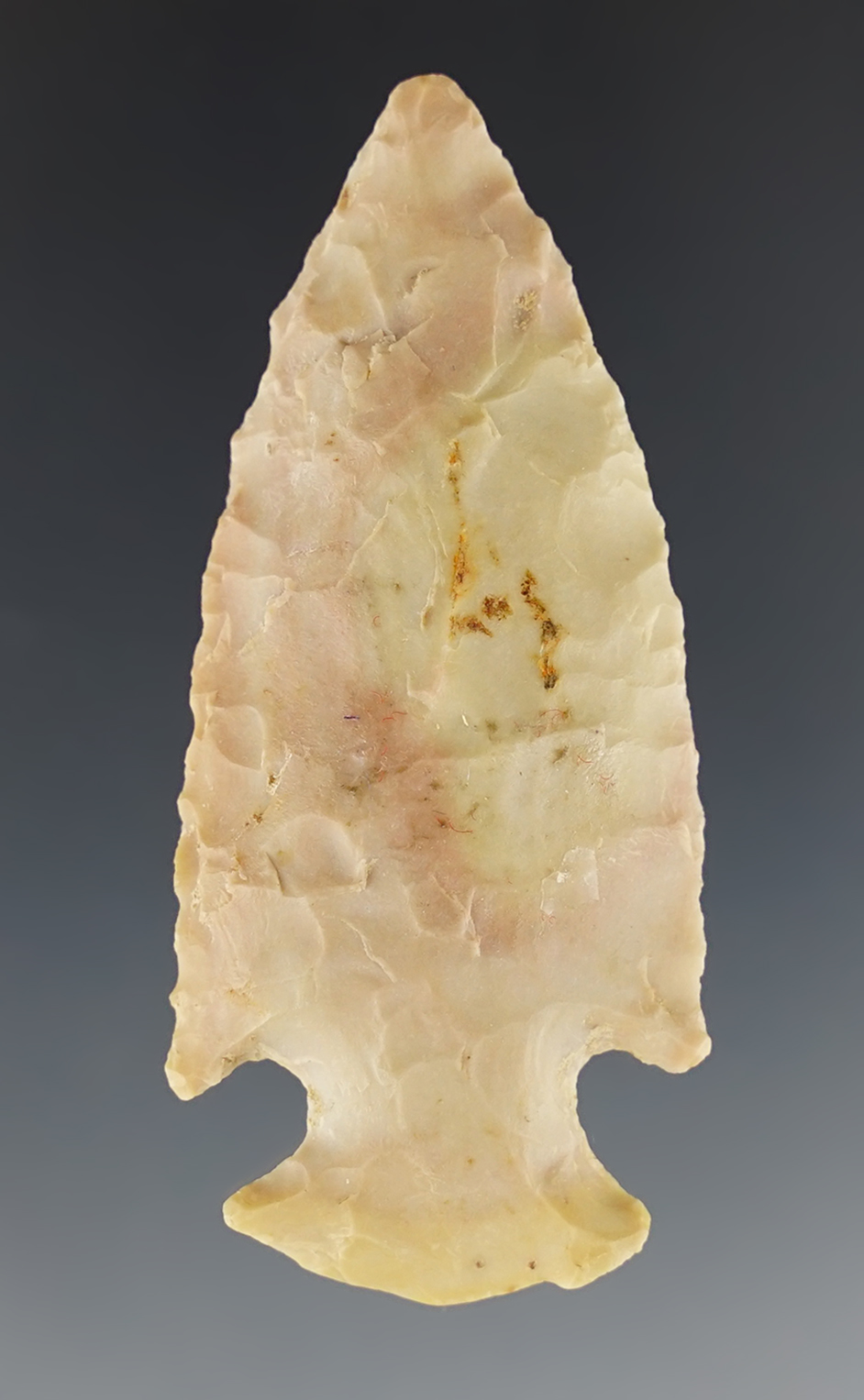2 5/16" Dovetail found in Arkansas with nice basal grinding. Comes with a Davis COA.