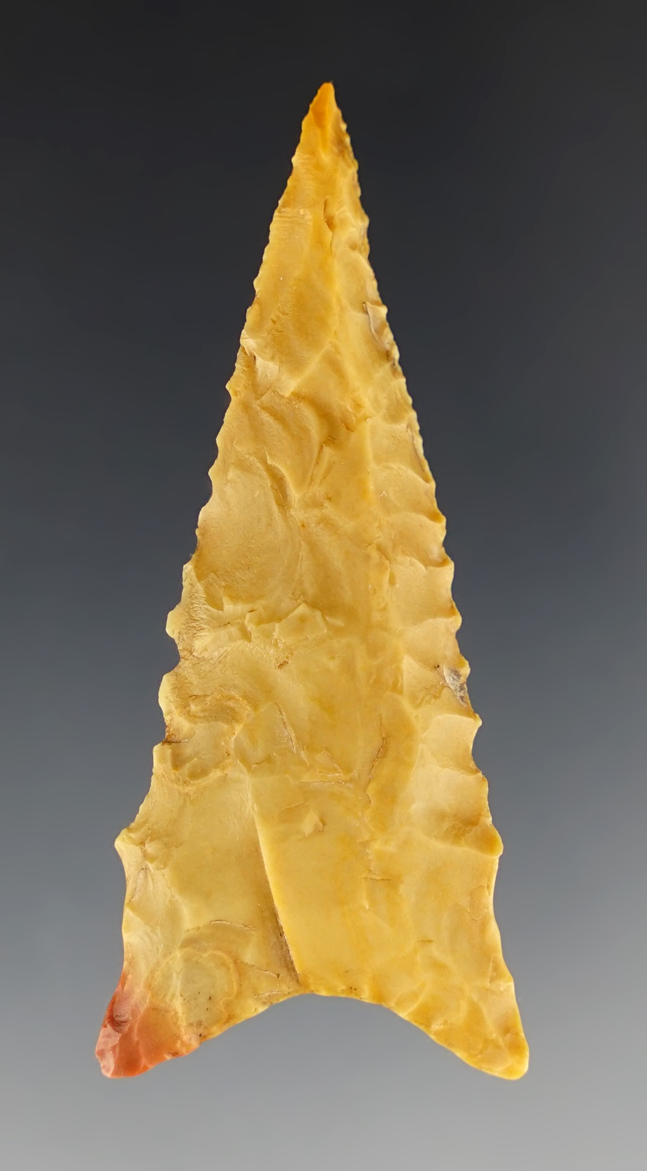 Steeply beveled 2 3/8" Dalton found in Clay Co., Arkansas. Ex. Charlie Long.