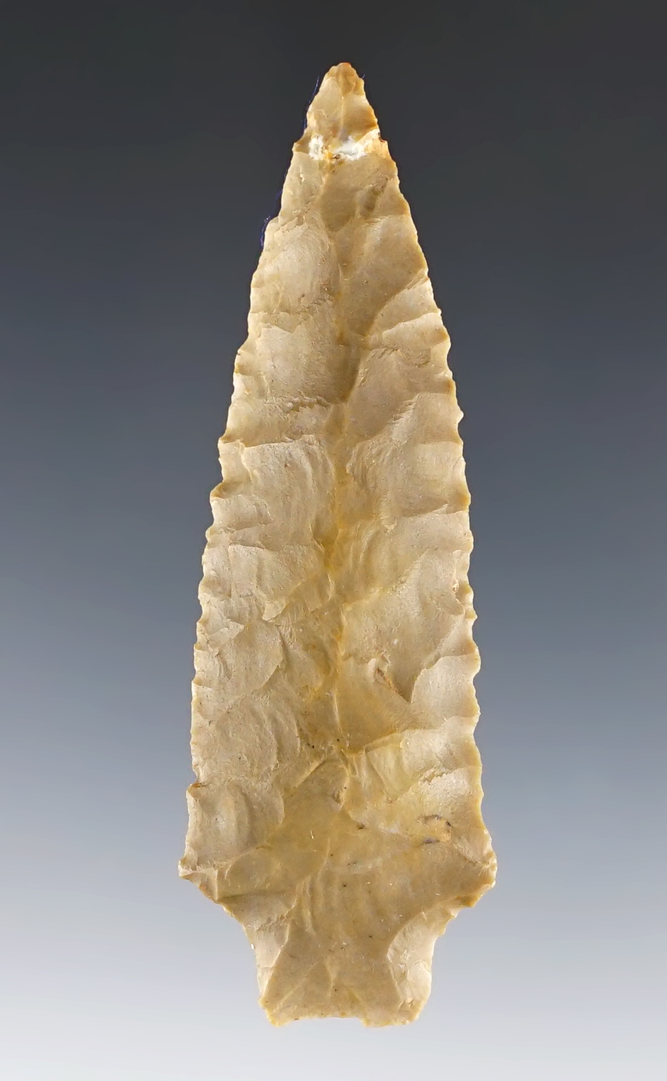 2 15/16" Kirk found in Fentress Co., Tennessee. Made from Hornstone. Comes with COA.
