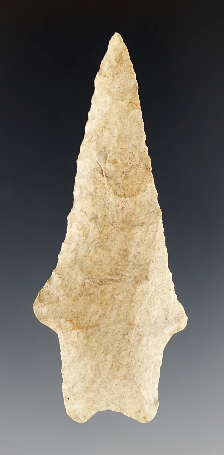 2 13/16" Searcy found by Shawn Ballard in Searcy Co., Arkansas. Ex. Hartline. COA.