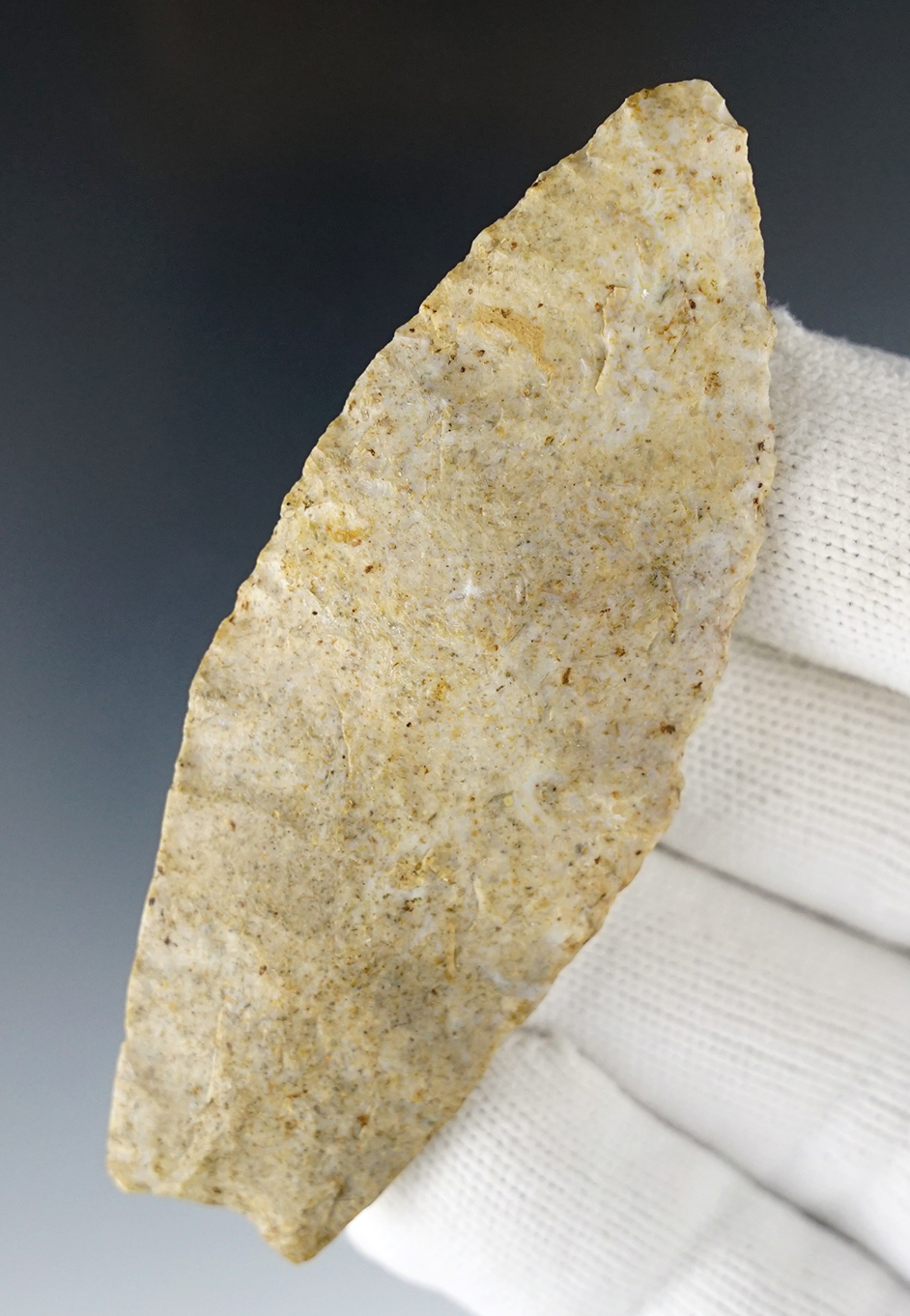 Fine 3 5/16" Archaic Nochta point found in Louisa Co., Iowa. Perino COA.