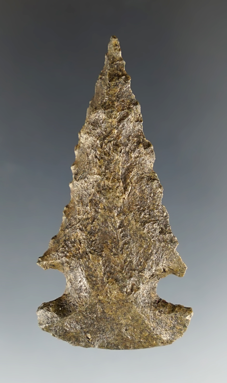 Fine 2 5/16" Bolen Bevel made from river-stained Chert. Suwanee Co., Florida. COA.