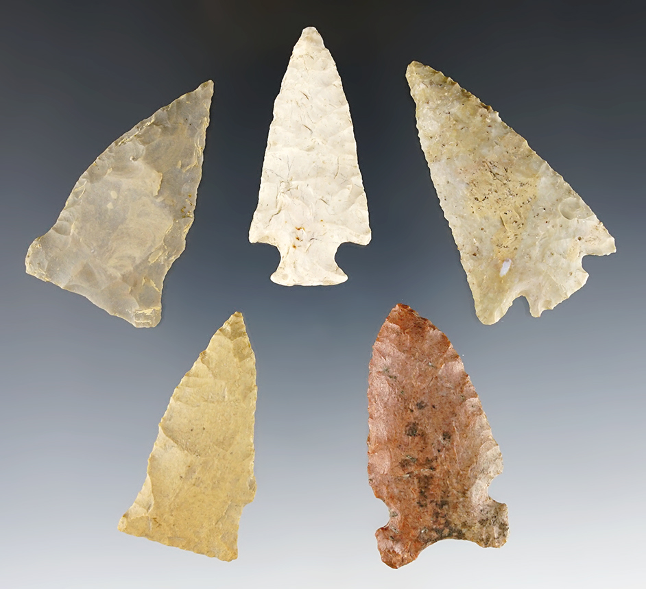Set of 5 well made points found in Davidson Co., Tennessee. The largest is 2 3/16".