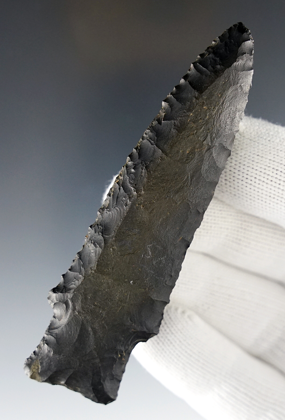 Outstanding flaking1 3 1/2" beveled Hardin made from glossy Pitkin Chert, Missouri.