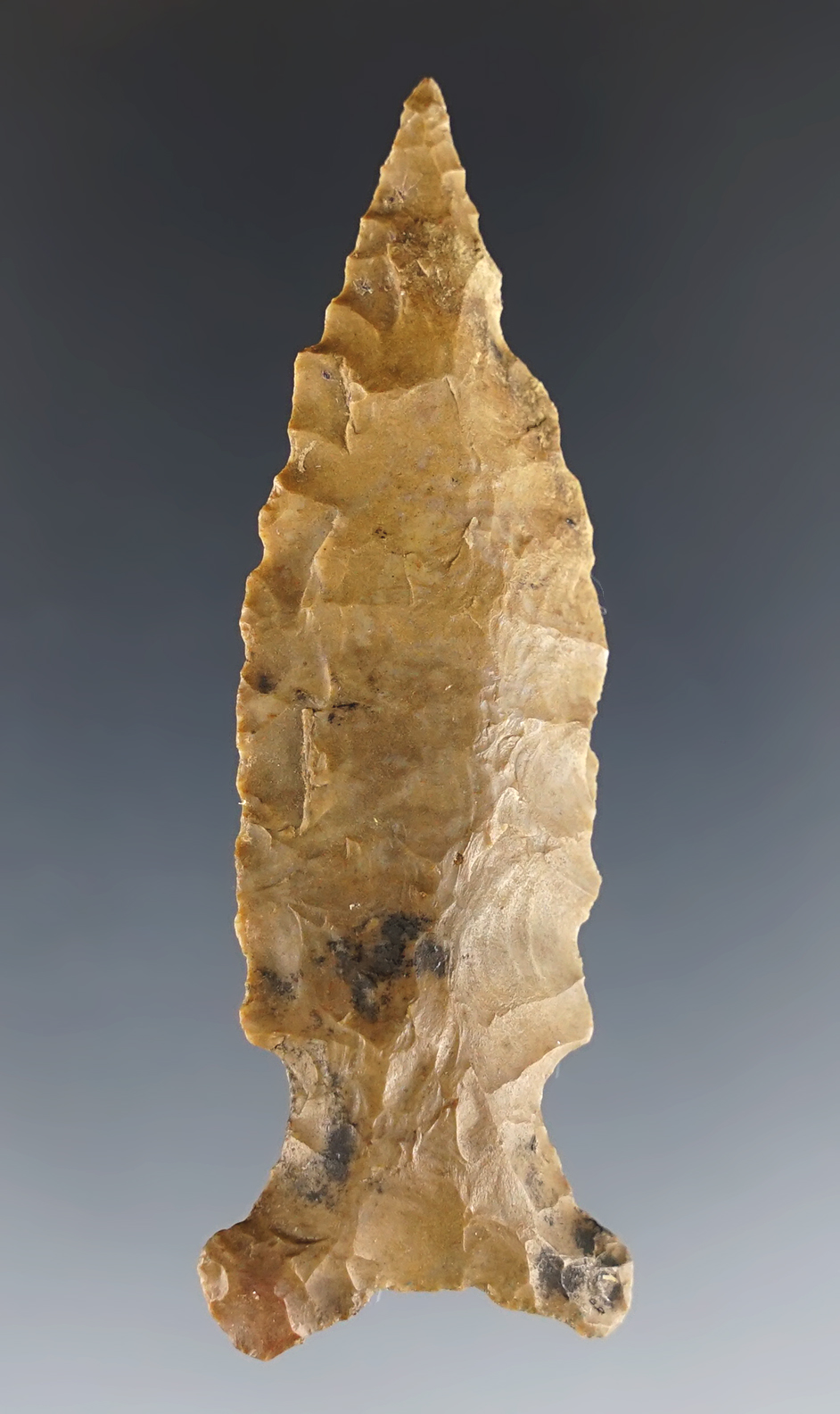 2 3/4" Big Sandy made from creek-stained Chert, Lawrence Co., Tennessee. COA.