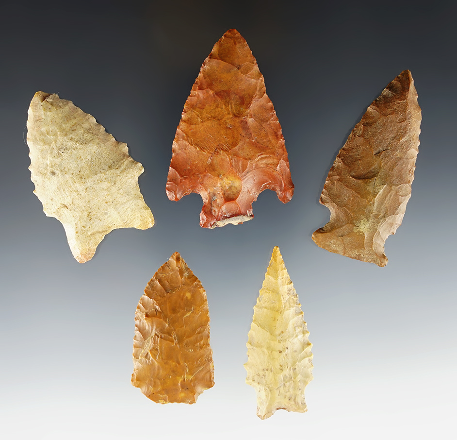 Set of 5 Mississippi and Arkansas points in nice condition. The largest is 2 3/8". COA's.