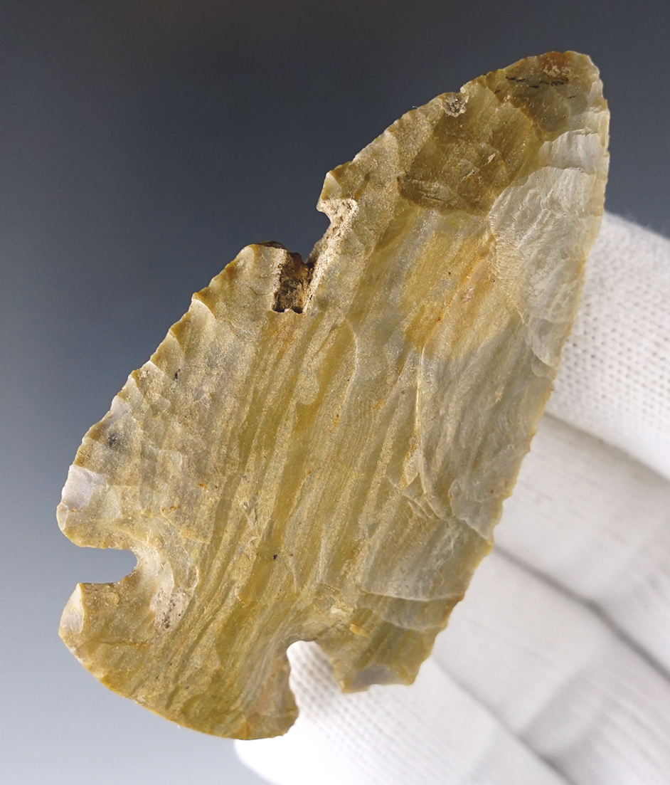 2 15/16" Dovetail made from Hornstone. Found in Ohio Co., Indiana. Comes with COA.