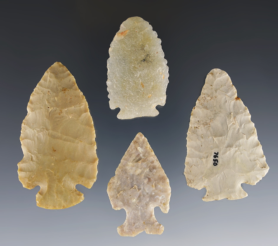 Decatur, Dovetail, Jacks Reef and Micro Notch found by C. Long in Clark Co., Kentucky.