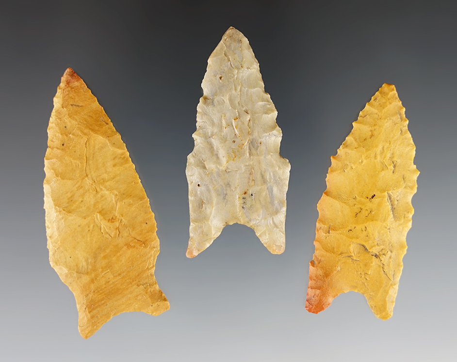 Set of three Arkansas Dalton points in excellent condition. Ex. Greg Perino.