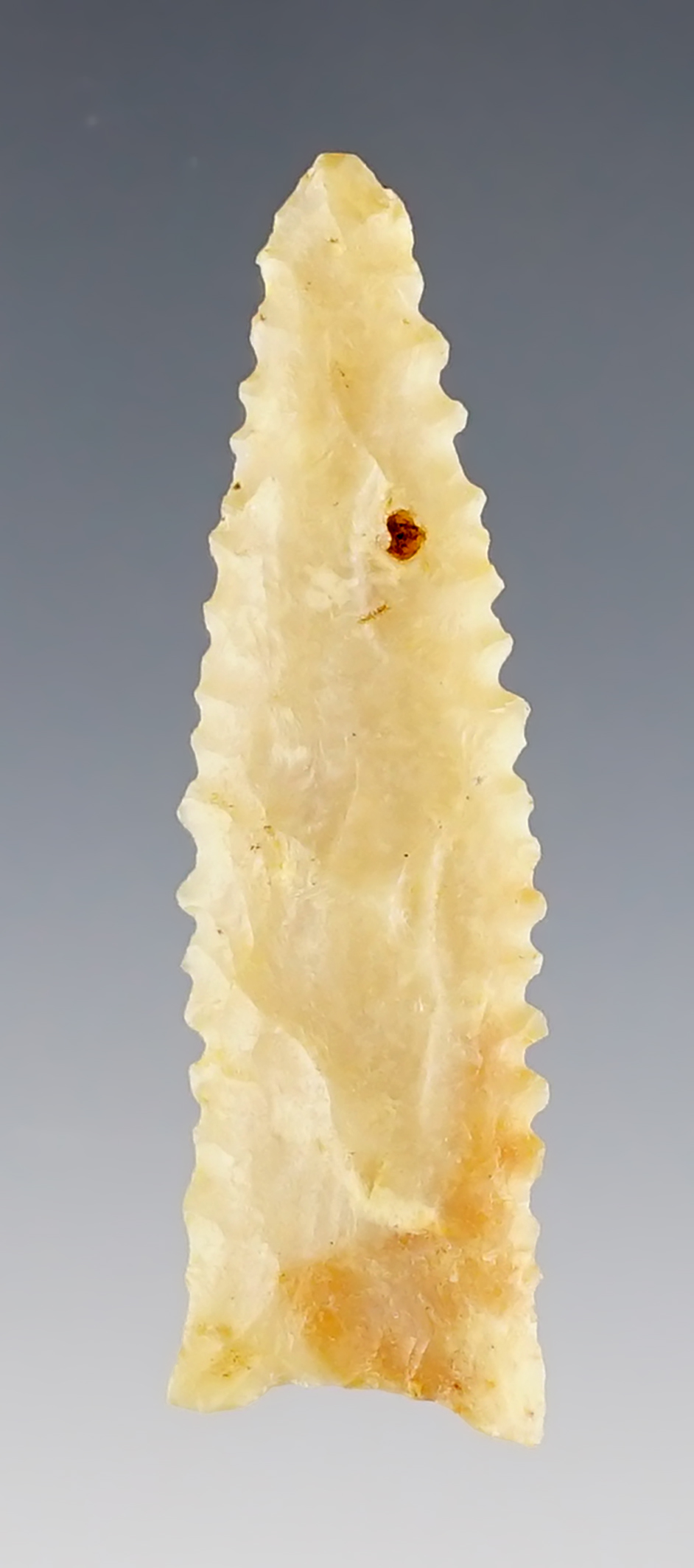 1 7/8" Tallahassee found in Gadsden Co., Florida. Made from Coastal Plains Chert. COA.