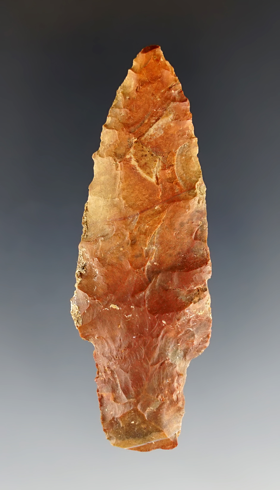 Colorful 3" Pontchartrain made from red Jasper. Found in Shelby Co., Tennessee. COA.